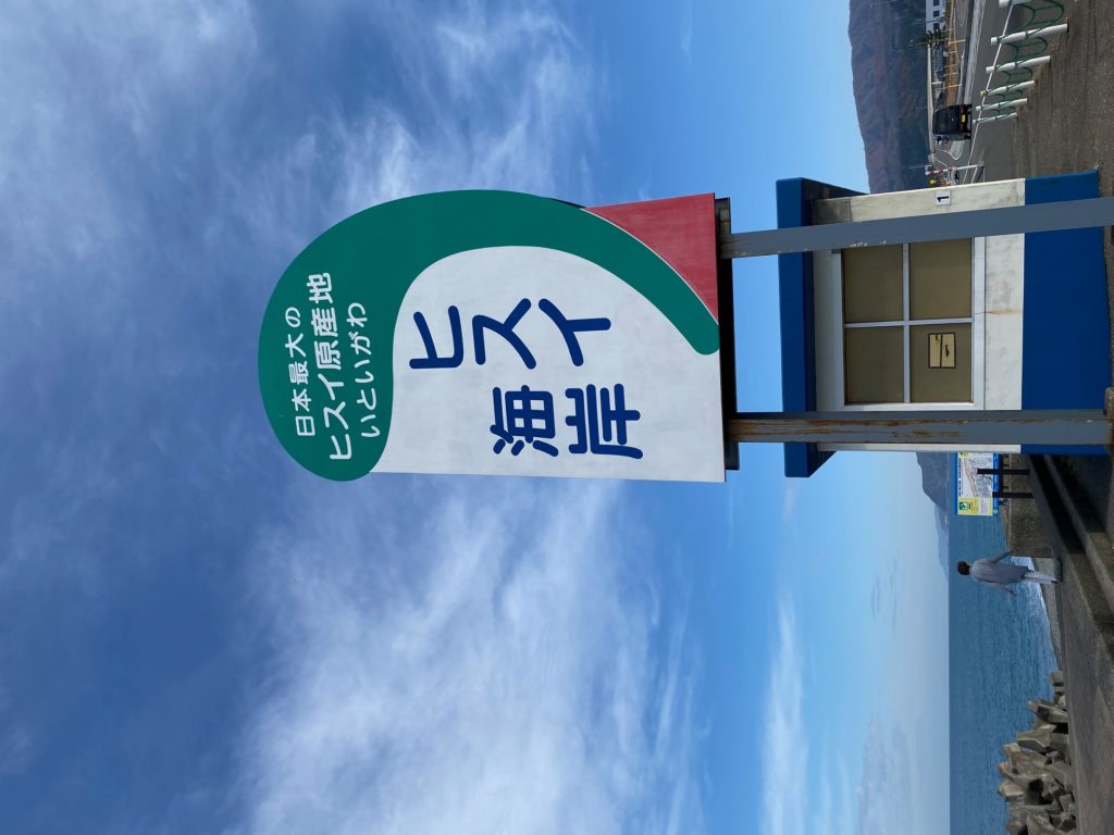 新潟のヒスイ海岸で糸魚川翡翠を採取！拾えるポイントやコツもご紹介 | ストーンカンパニーの石と旅ブログ